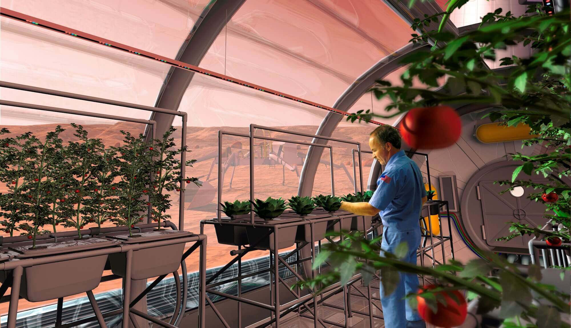 Artist's depiction of an astronaut growing crops on Mars