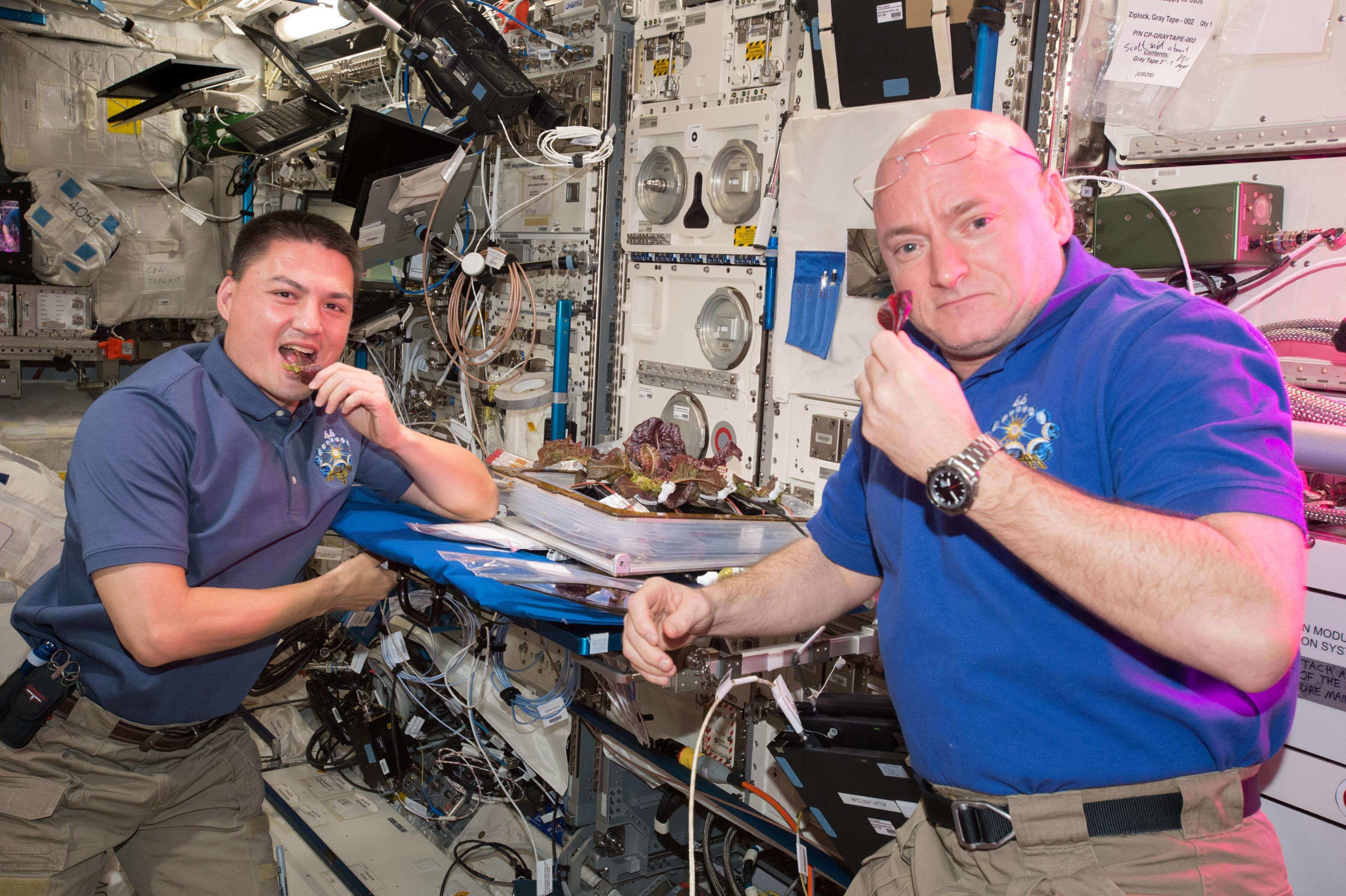 Astronauts eating romaine lettuce grown on the International Space Station