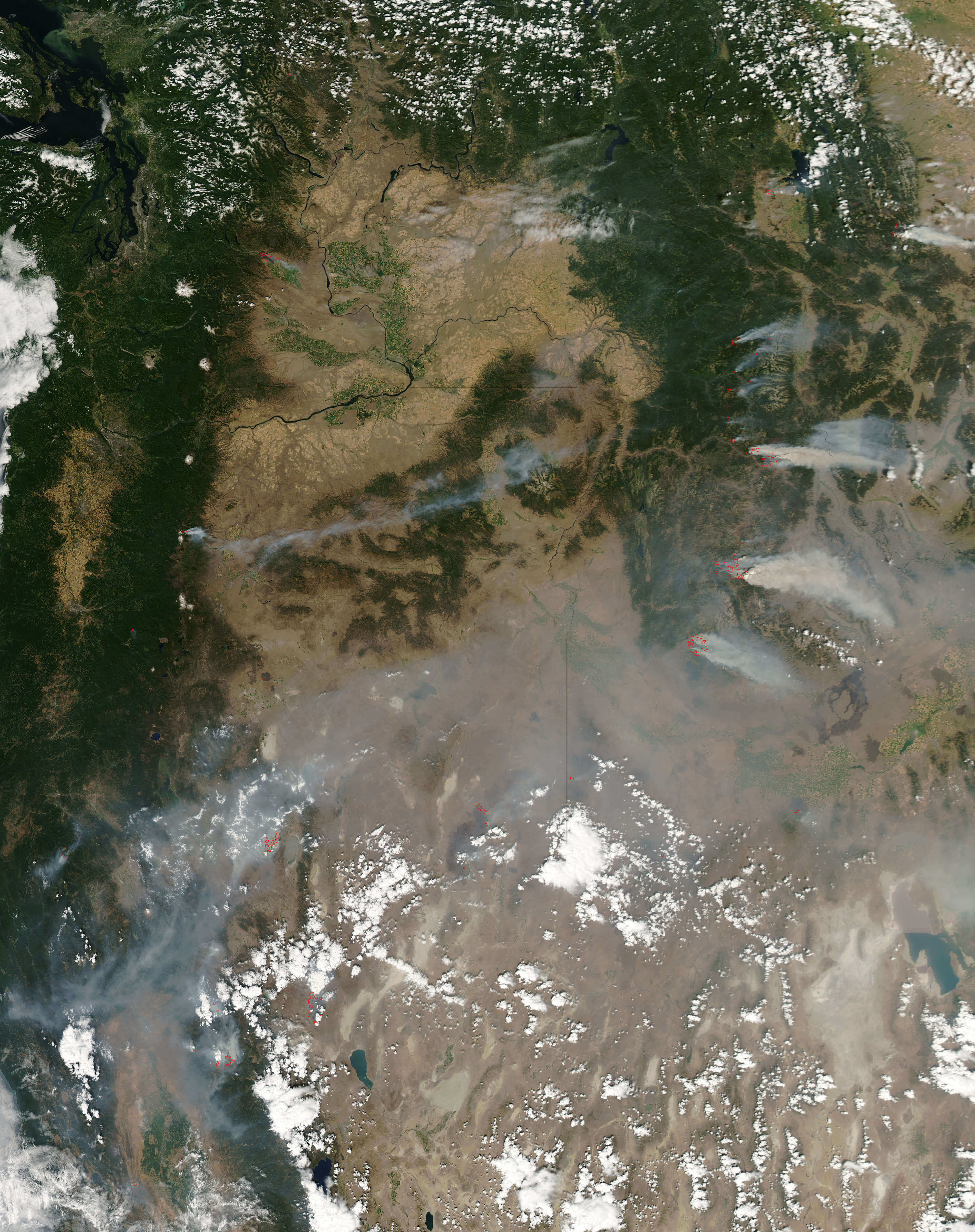 NASA satellite image showing multiple wildfires 