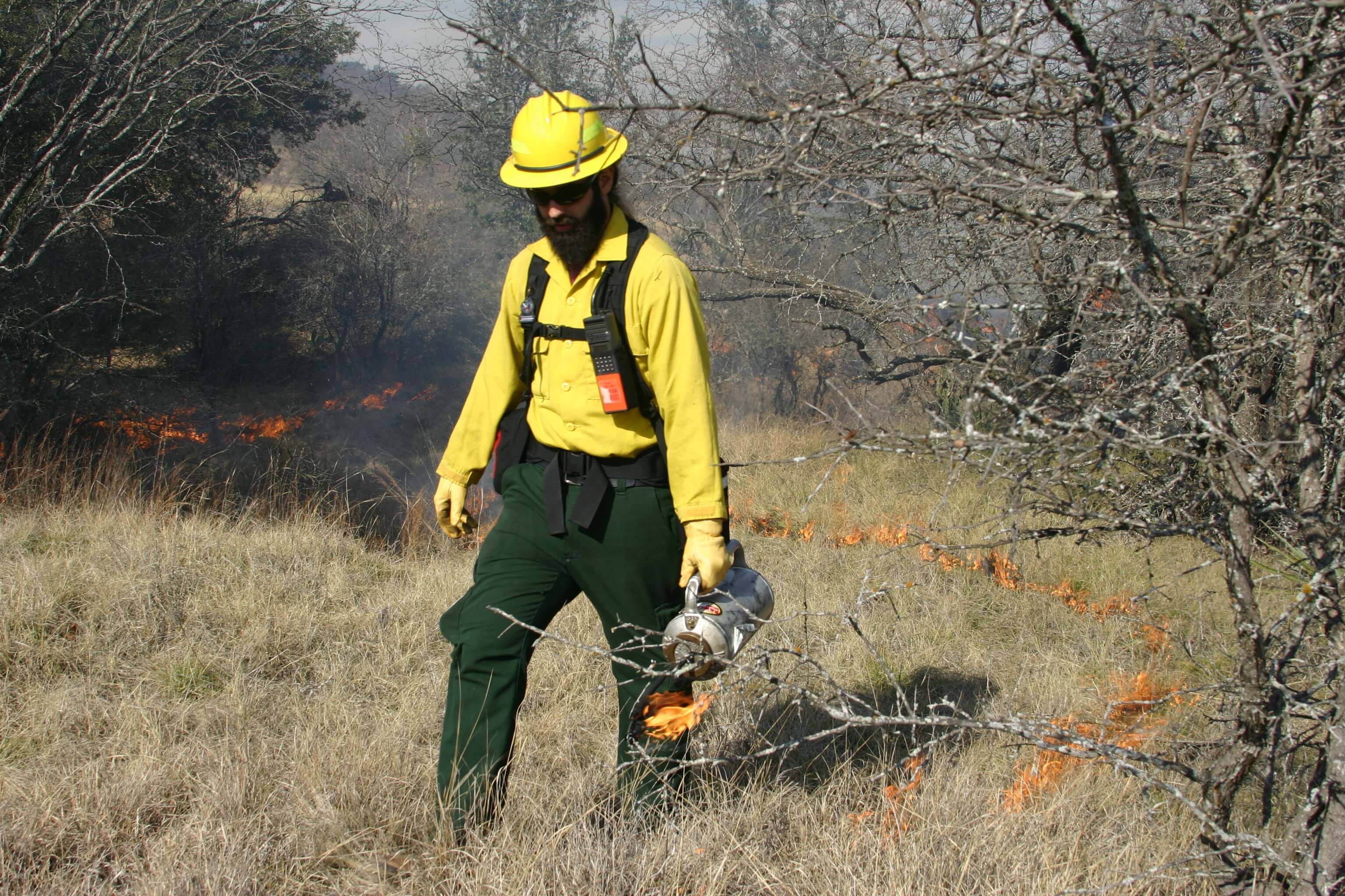 Fire management worker conducting a controlled burn 