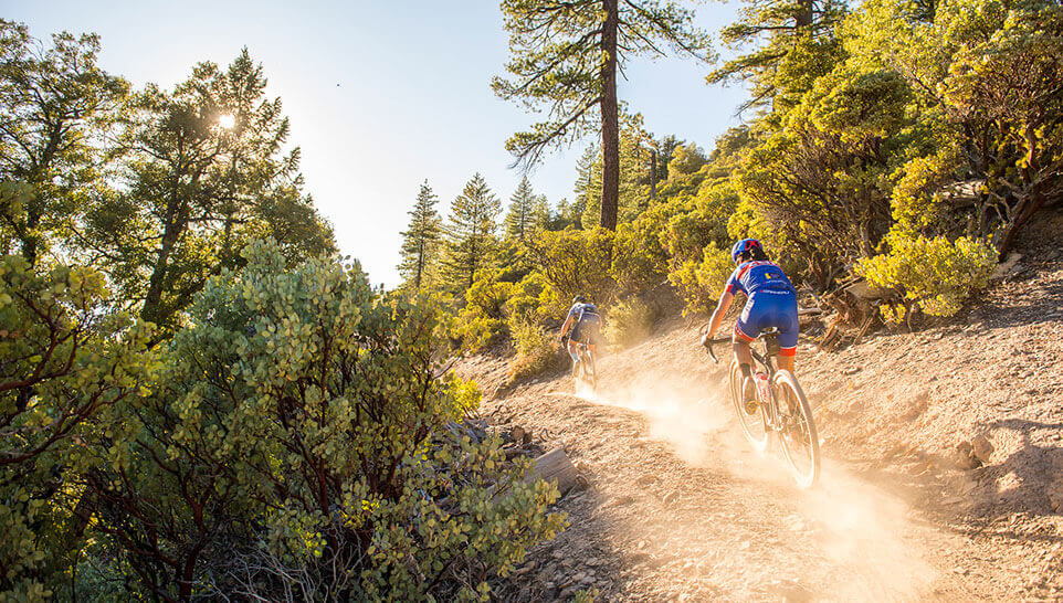 Two mountain bikers on a dirt path 