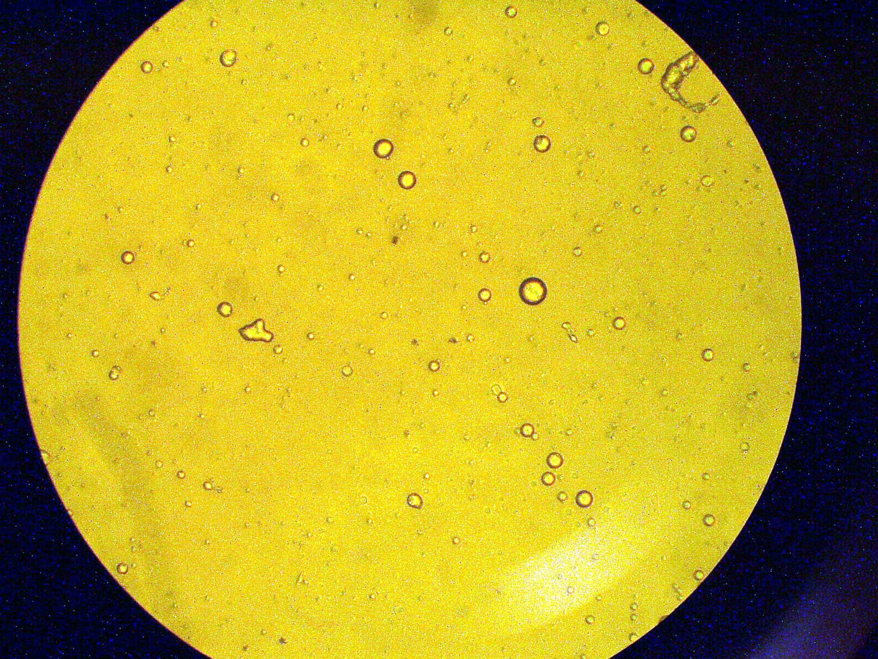 Close up view of microcapsules used in NASA research