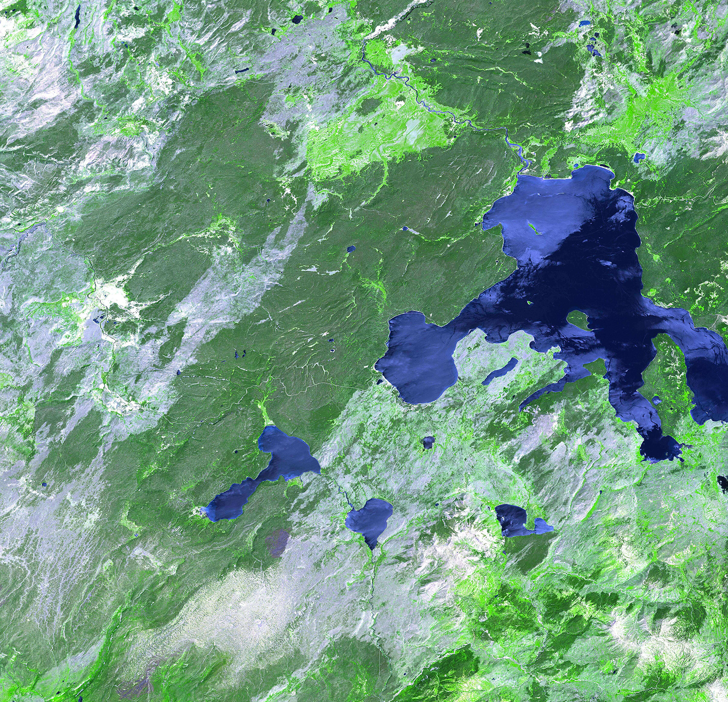 Satellite image showing green vegetation growth