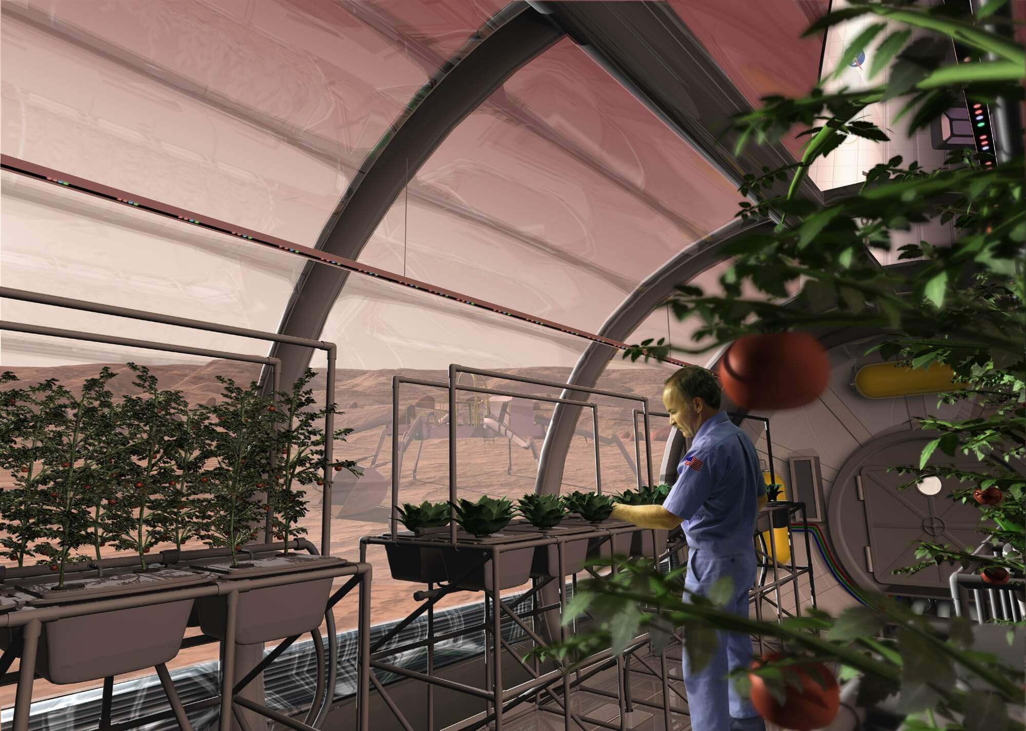 Artist's depiction of an astronaut growing crops on Mars
