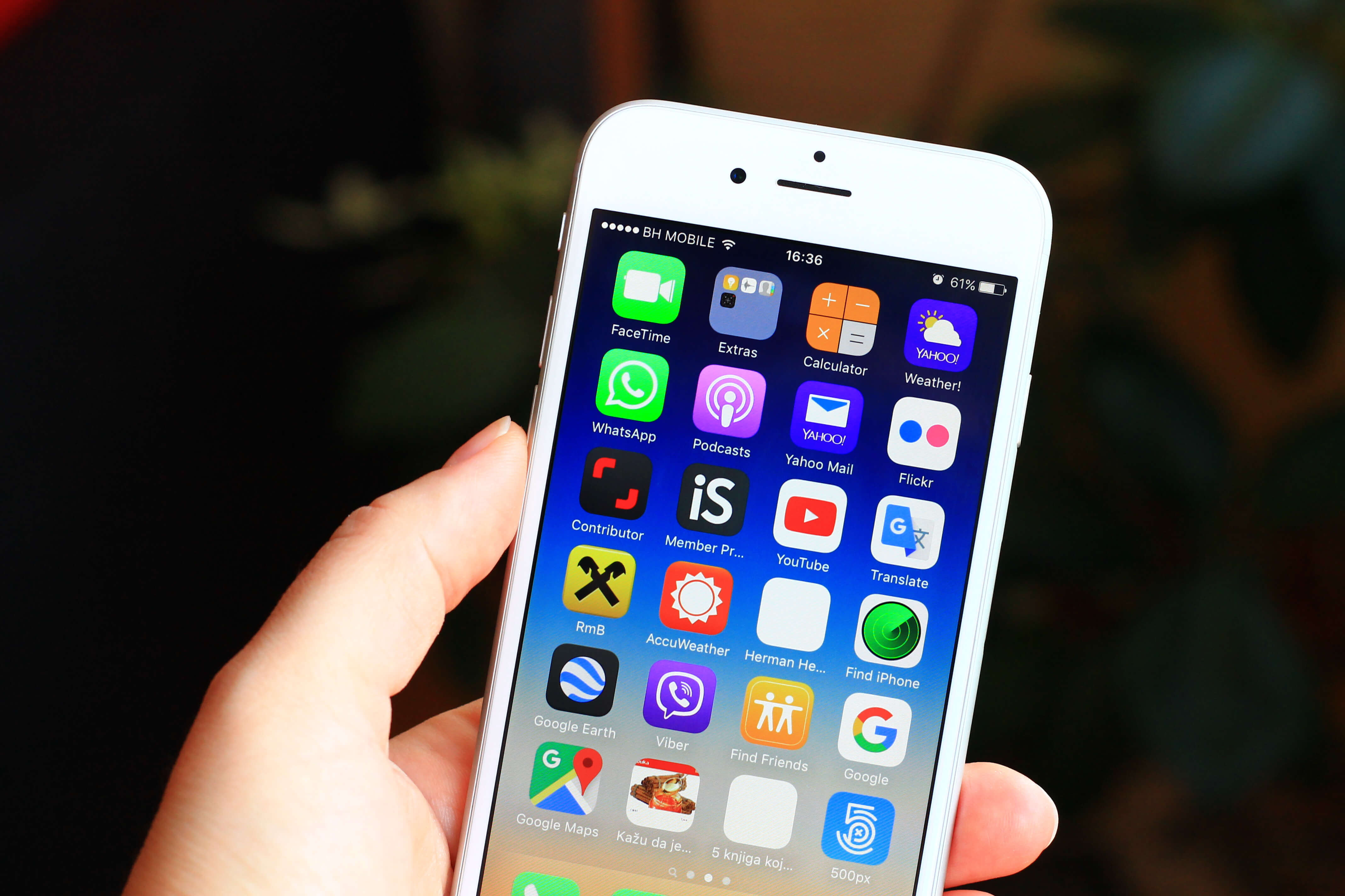 Person holding a smartphone
