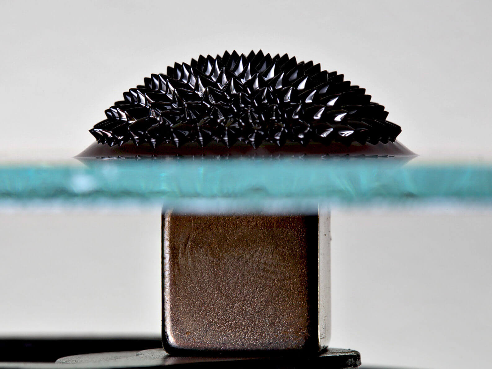 Ferrofluid on a glass plate, held in place by a magnet
